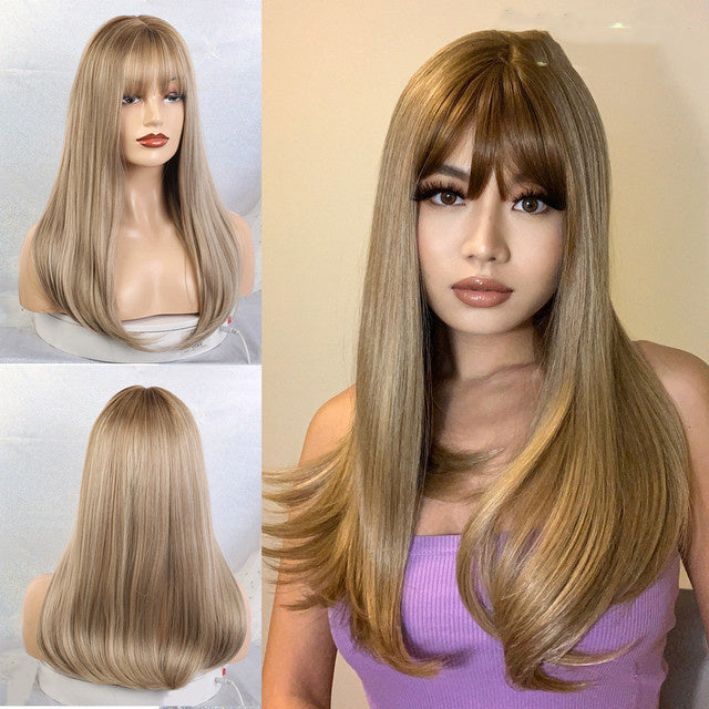 Brown Grey Long Straight Wig
