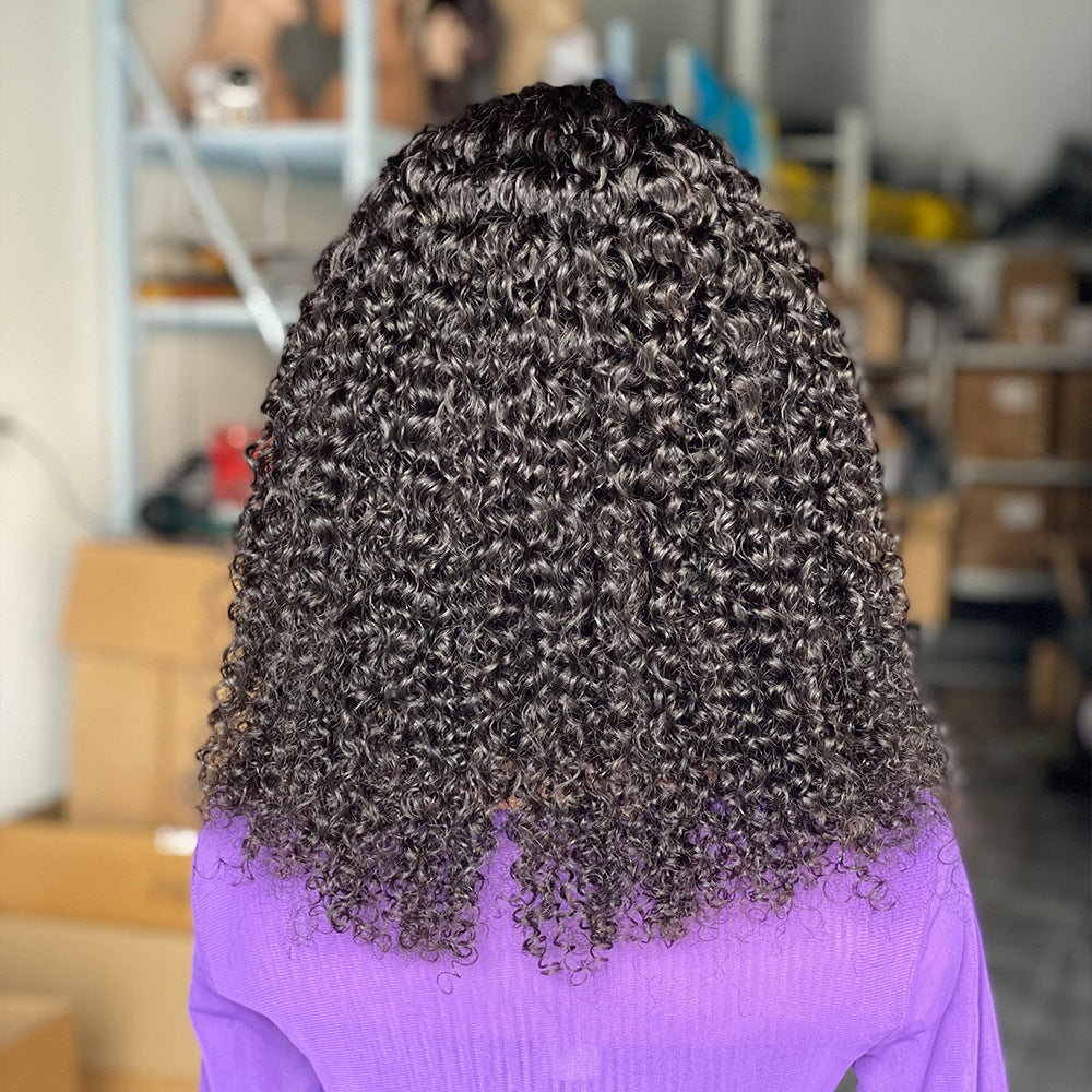 200 Curly Human Hair Wigs
