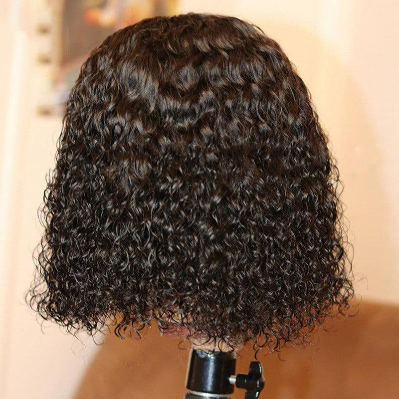 Burmese Long Curly