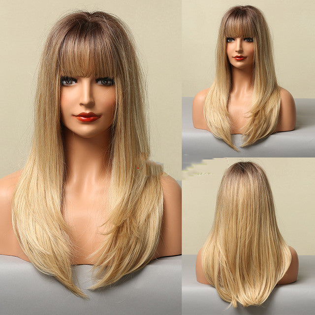 Brown Grey Long Straight Wig